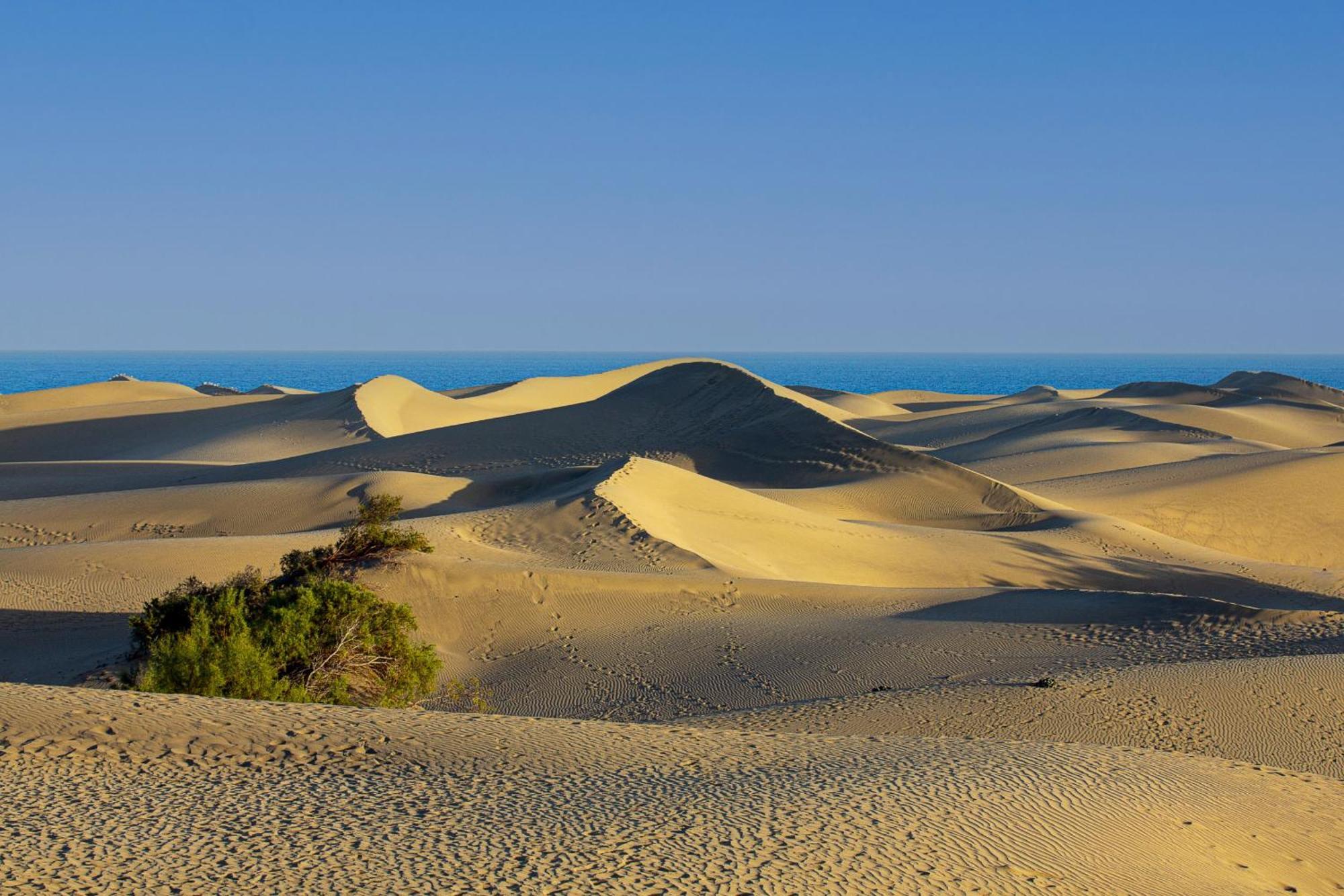 Bungalow Beside The Maspalomas Dunes By Pride Holiday Rentals San Bartolomé Exteriér fotografie